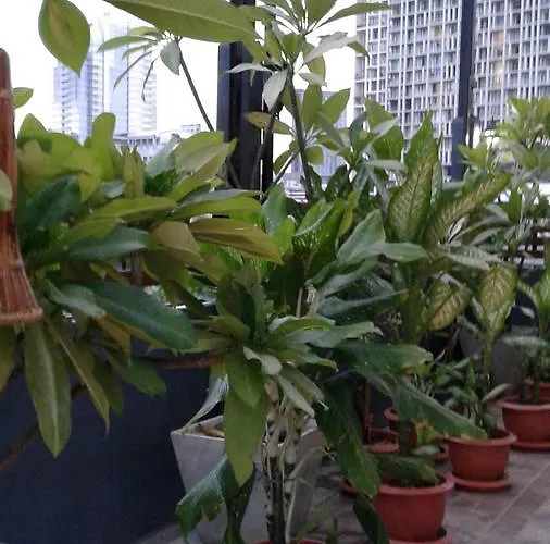 Loft Suanplu * Bangkok